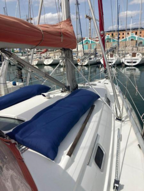 Sea Bloom - Sleep & Sail in Tejo